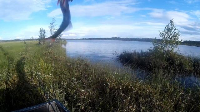 Самодельный гусеничный вездеход из запчастей ВАЗ/выезд на рыбалку на таёжные озера/рыбалка в КАРЕЛИ