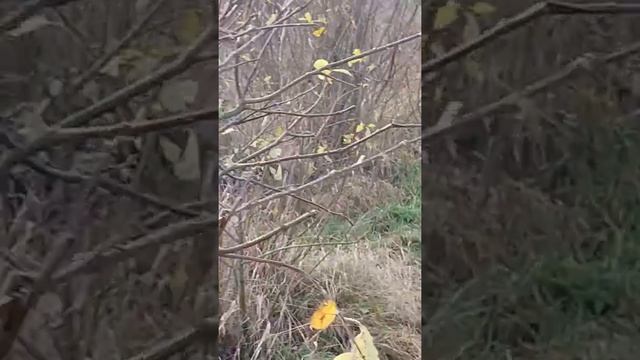 Им реально повезло!!! смотреть онлайн