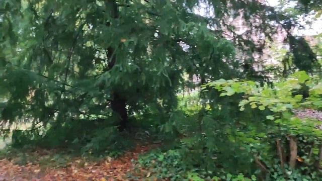 Шлоссгартен - Мечеть возле пруда. 24.Oktober 2023 смотреть онлайн