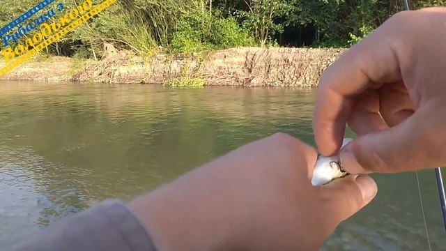 Що потрібно знати, щоб не попасти на нові штрафи за рибалку! Правила любительського рибальства смотреть онлайн