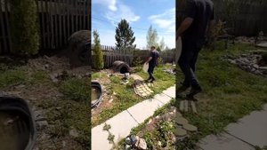 ΠΠΎΠΌΠΈΠΊ Π₯ΠΎΠ±Π±ΠΈΡΠ° Π½Π° Π΄Π°ΡΠ΅ ΡΠ²ΠΎΠΈΠΌΠΈ ΡΡΠΊΠ°ΠΌΠΈ.