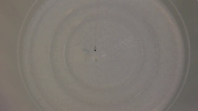 Валентиныч 33СПб смотреть онлайн