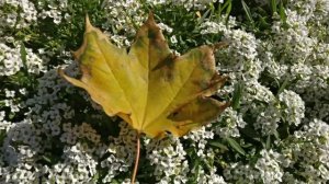 ХОЛОДНЫЕ РУКИ И НОГИ - ЭТО СИГНАЛ О ТОМ ЧТО У ВАС УЖЕ ... Здоровье. Густая кровь. Разжижение крови