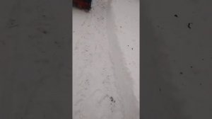 мотоблок каскад со снегоуборочной приставкой нева