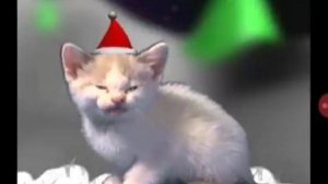 Новогодняя песенка .Поют котики.,?????????