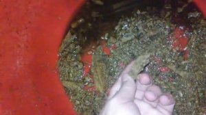 Чистка бойлера