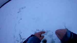 Рыбалка на речушке Сеполька.