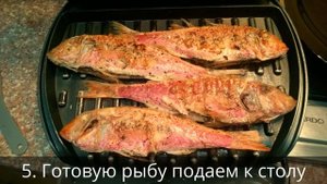 Готовим барабульку (султанку) на гриле. Очень просто и очень вкусно!