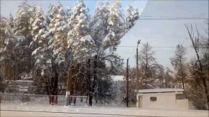 Зимний пейзаж из окна поезда