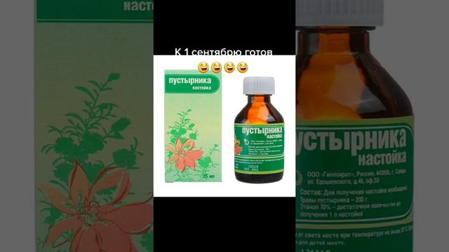 К#1Сентябрю Готов смотреть онлайн