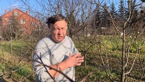 На что, прежде всего, обратить внимание начинающему садоводу при выборе саженца