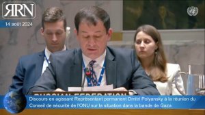 Discours en agissant Représentant permanent Dmitri Polyansky à l'ONU sur la situation dans la bande