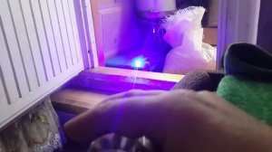 Очень мощный синий лазер Very powerful blue laser