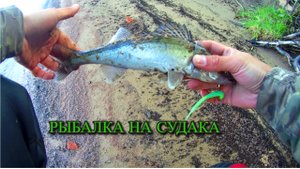 ЛОВЛЯ СУДАКА | ТЯЖЕЛЫЙ ДЖИГ И ОТВОДНОЙ