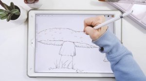 How to Draw Toadstools and Mushrooms - Step by Step Procreate Tutorial