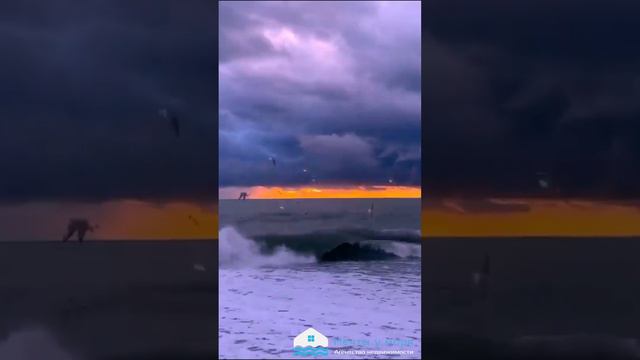 Зимой надо жить в Сочи, Адлере. Отзывы переехавших для риэлторов Агентства недвижимости Мечты у мор смотреть онлайн