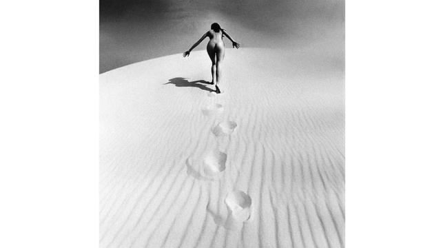 Tribute to JEANLOUP SIEFF смотреть онлайн