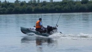 Катамаран с мотором.