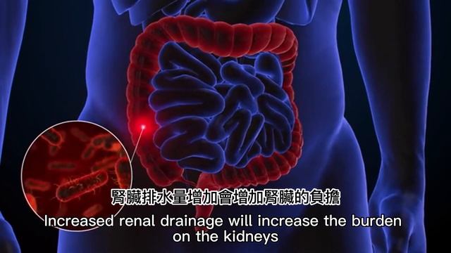 Some health misunderstandings in life смотреть онлайн