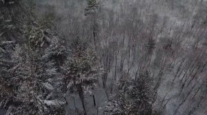 Как Вспомнить Прошлую Жизнь и Не Сойти с Ума - Маг Sargas