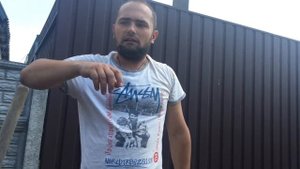 Посадка Туи Брабант вдоль забора