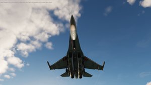 Су-27 против F-14 : DCS World
