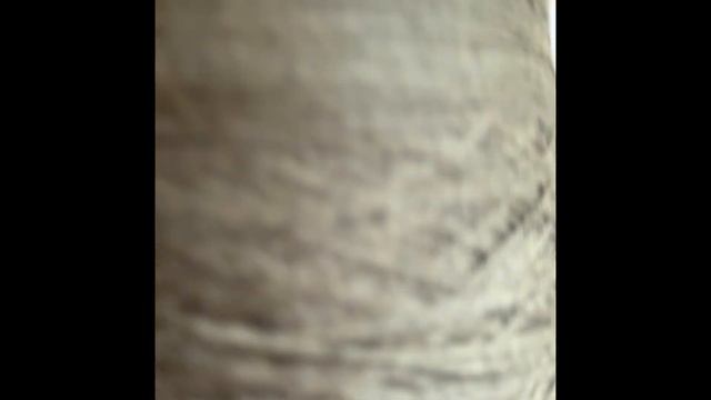 Тибетский Кашемир… и кое-что еще смотреть онлайн