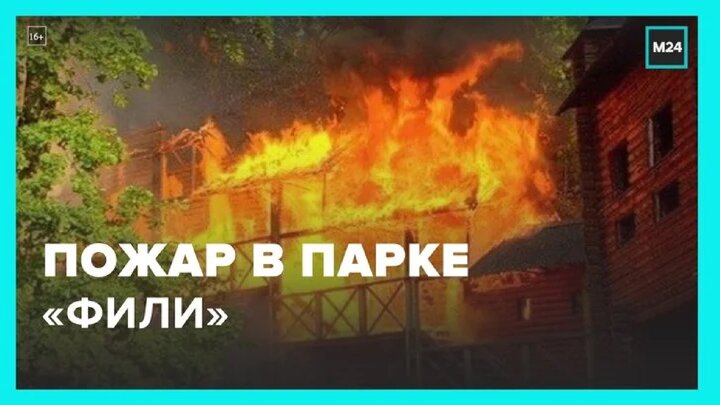 ДТП на Щелковском шоссе и пожар в кафе в парке "Фили" - Москва 24