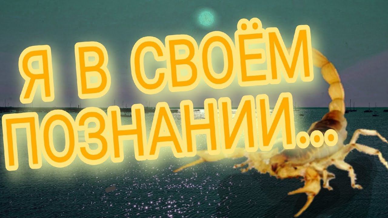 СКОРПИОН ПРЕИСПОЛНИЛСЯ | Genshin Impact смотреть онлайн