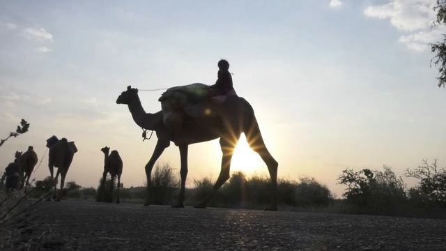 Восточная музыка ? Дорога в вечность ? смотреть онлайн