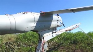 Орлан-10.