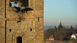 Castle of Serralunga d'Alba, Piedmont Region, Langhe, Italia, December 2018