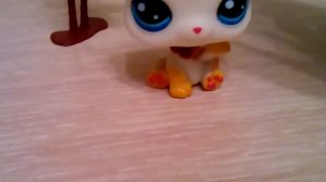 распаковываю LPS белая кошка