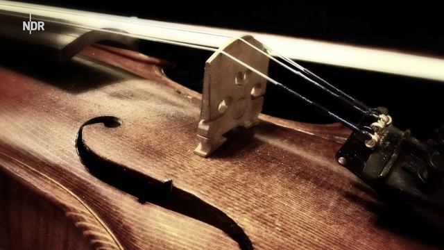 Mendelssohn: Violinkonzert e-Moll op. 64 | Gilbert | Greutter | NDR Elbphilharmonie Orchester смотреть онлайн