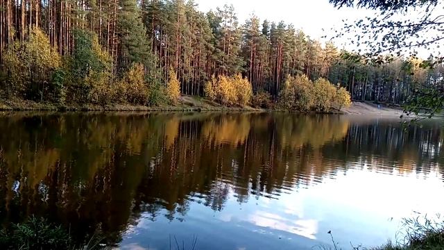 Загрузки добра, здоровья, радости, изобилия всех благ по истинному замыслу Создателя