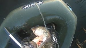 продолжаем ловить карася и леща.mp4