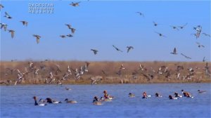 "Дагестанский заповедник "