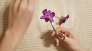 Эпоксидная смола. Как правильно засушить Орхидею?