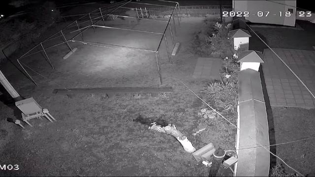 Стрільба камера номер 3 смотреть онлайн