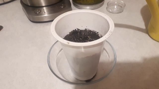 В огороде на окне начались работы. смотреть онлайн