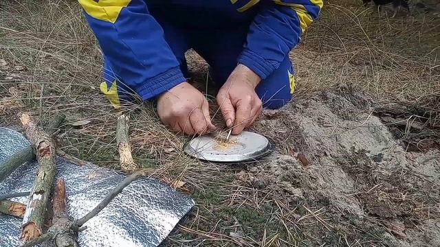 Путешествие в лес. Какой гриб найдем? Людям с идеальным музыкальным слухом НЕ СМОТРЕТЬ!)) смотреть онлайн