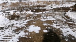 Бульдозер Б10М - работа,, 99