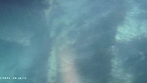 черноморский горбыль 29.12.2021