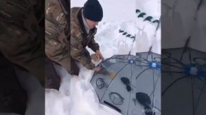 Раколовки зонтик, мороз -25, метровый лёд, думаю в следующий раз повезёт