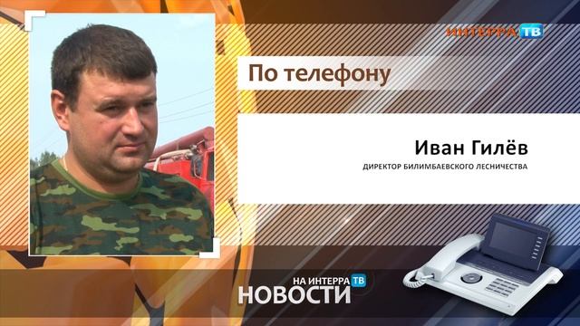 Вырубки деревьев рядом с совхозом Первоуральский 22 10 21 смотреть онлайн