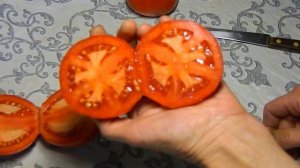 Томат Солярис. Тест спелых томатов.