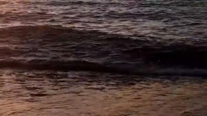 Шум Моря Шум Прибоя Релакс Музыка для Сна Ocean