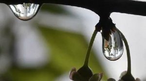 "Ты меня не забывай" исполняет Ирина Фрёлих