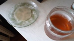 Чайный гриб с нуля 2 часть.