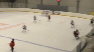 Дети играют в Макдевида